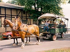 Kutschenwagen mit Pferden